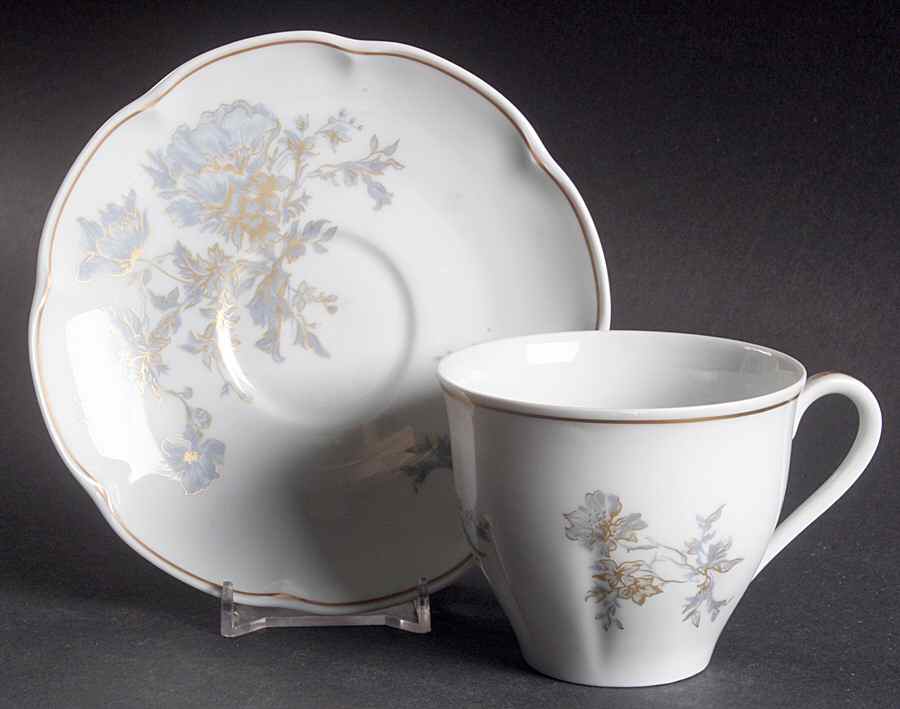 Auclair Flat Cup & Saucer Set by Haviland-1