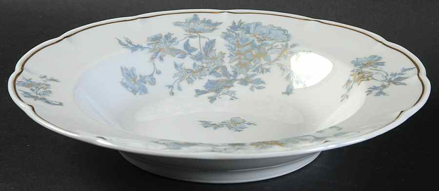 Auclair Rim Soup Bowl by Haviland-1