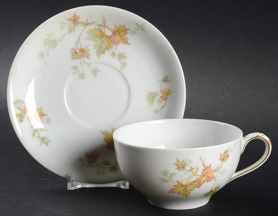 Autumn Leaf (No Trim) Flat Cup & Saucer Set by Haviland-1