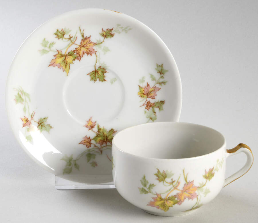 Autumn Leaf (No Trim) Flat Cup & Saucer Set by Haviland-1