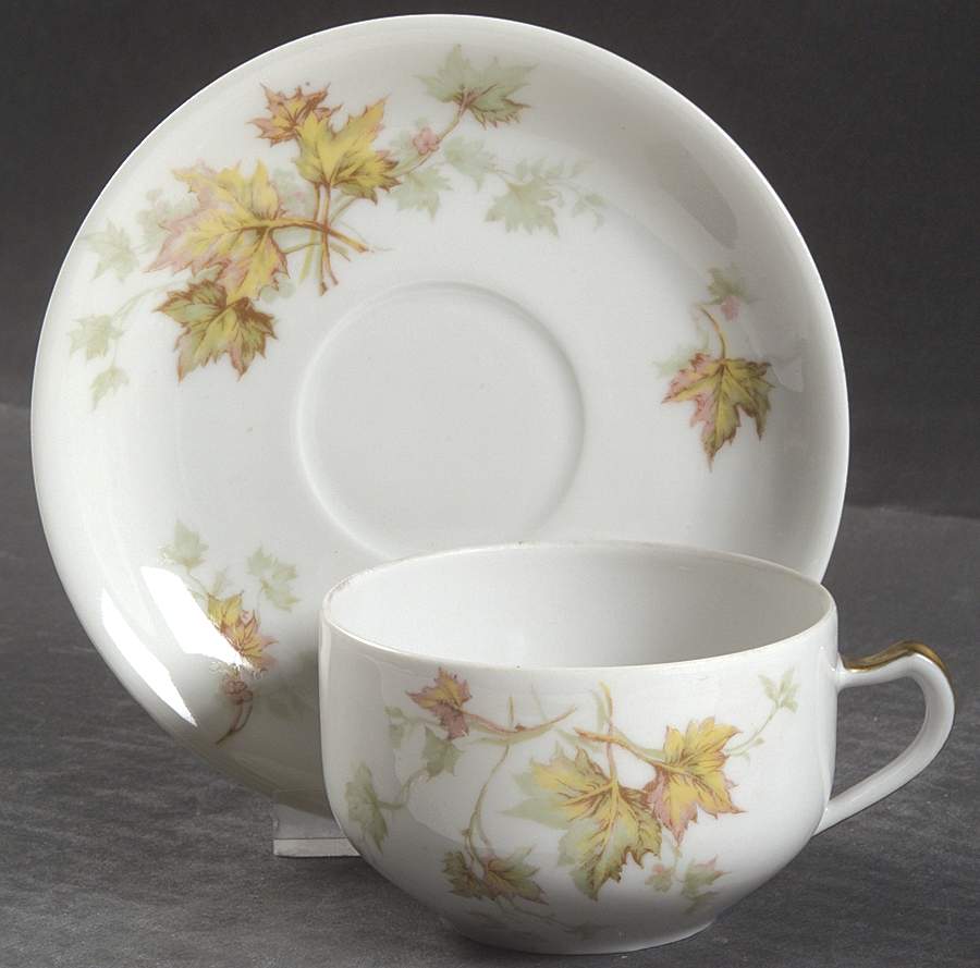 Autumn Leaf (No Trim) Flat Cup & Saucer Set by Haviland-1