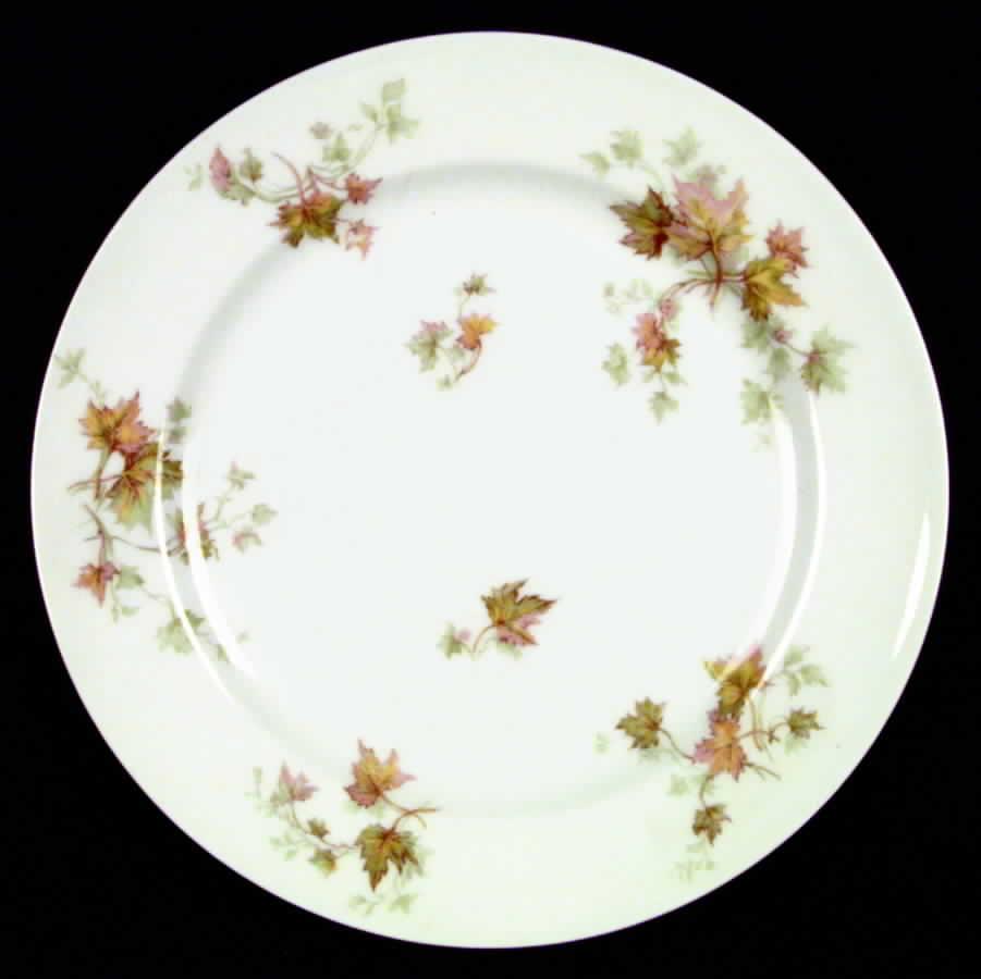 Autumn Leaf (No Trim) Dinner Plate by Haviland-1