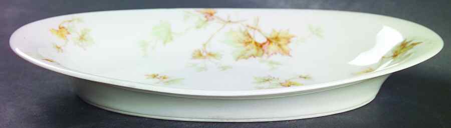 Autumn Leaf (No Trim) Relish by Haviland-1