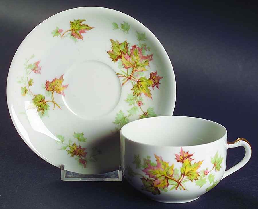 Autumn Leaf (No Trim) Flat Cup & Saucer Set by Haviland-1