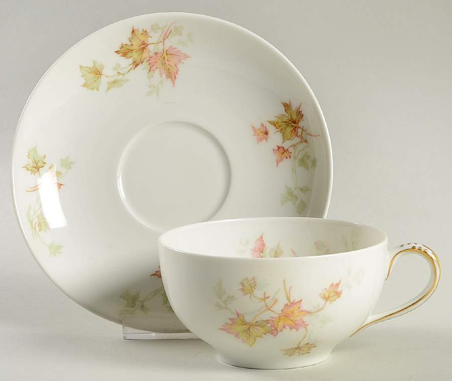Autumn Leaf (No Trim) Flat Cup & Saucer Set by Haviland-1