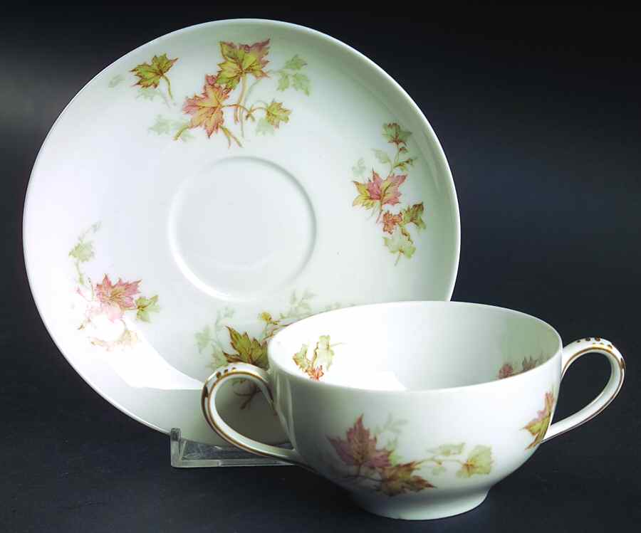 Autumn Leaf (No Trim) Flat Bouillon Cup & Saucer by Haviland-1