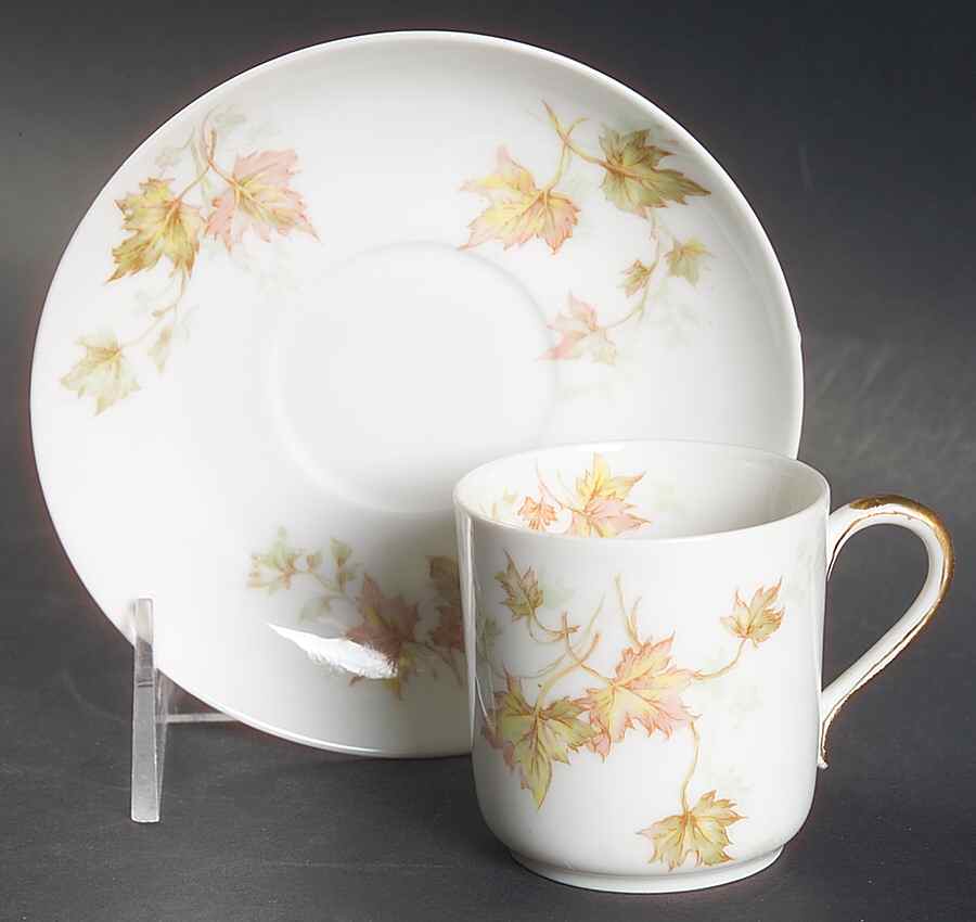 Autumn Leaf (No Trim) Flat Demitasse Cup & Saucer Set by Haviland-1