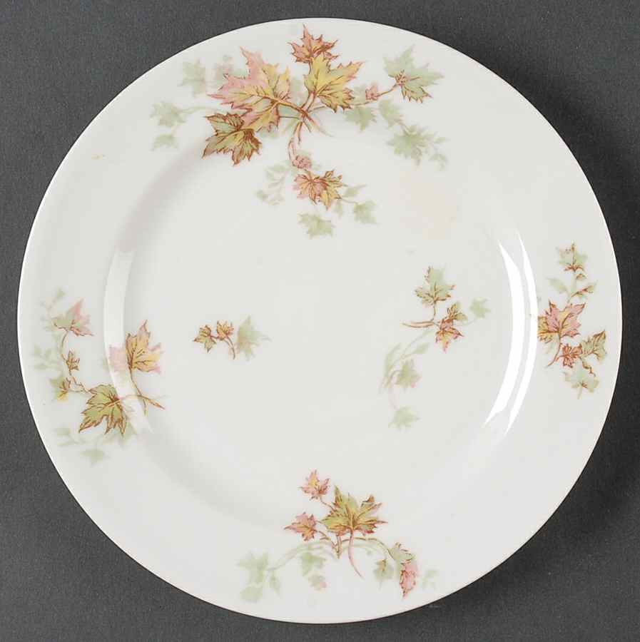 Autumn Leaf (No Trim) Salad Plate by Haviland-1