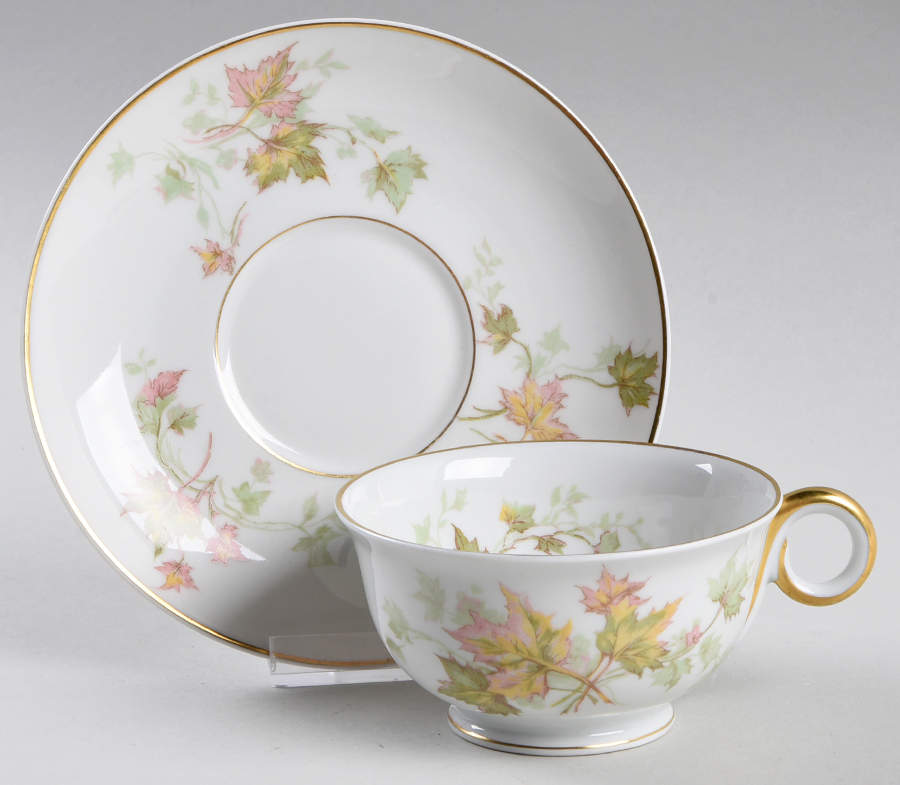 Autumn Leaf (Smooth, Gold Trim) Footed Cup & Saucer Set by Haviland-1