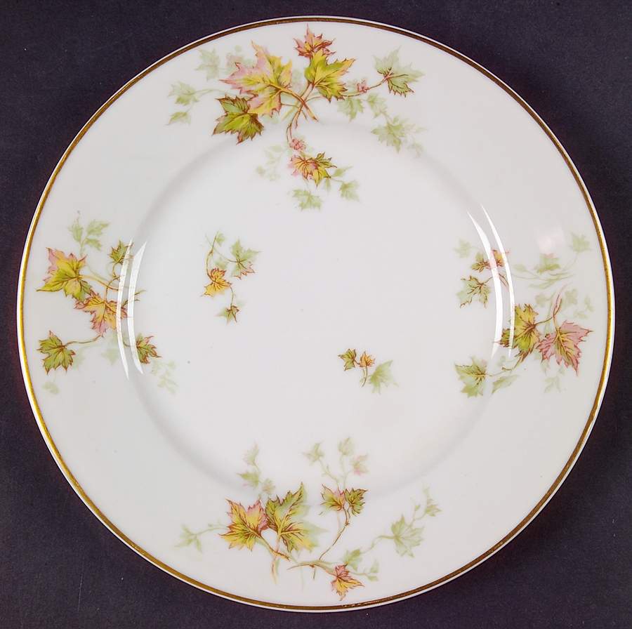 Autumn Leaf (Smooth, Gold Trim) Luncheon Plate by Haviland-1