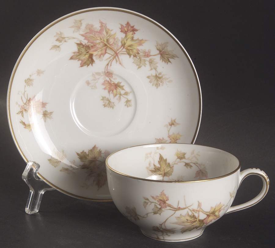 Autumn Leaf (Smooth, Gold Trim) Flat Cup & Saucer Set by Haviland-1
