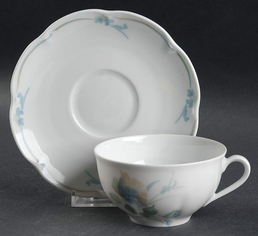 Auteuil Flat Cup & Saucer Set by Haviland-1