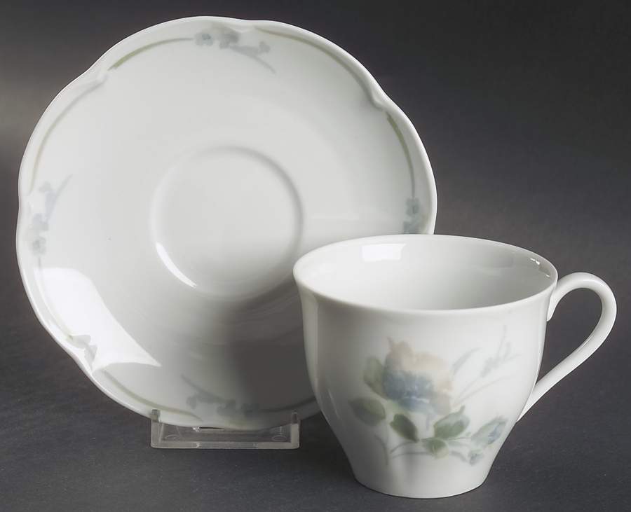 Auteuil Flat Cup & Saucer Set by Haviland-1