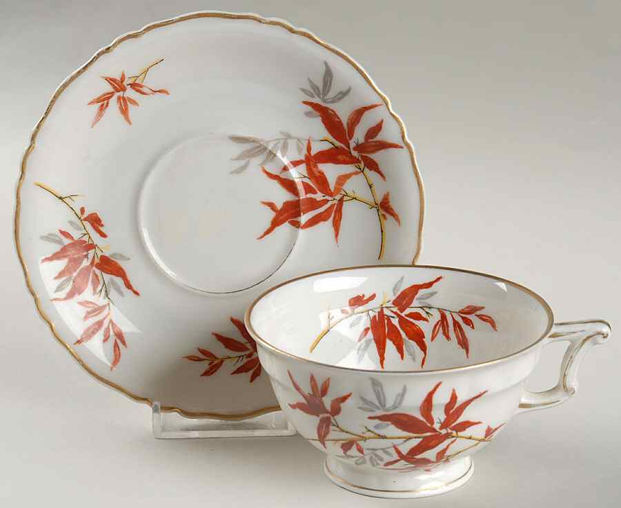 Bamboo (Rust Bamboo Shoots) Footed Cup & Saucer Set by Haviland-1