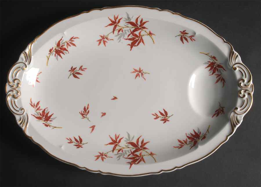 Bamboo (Rust Bamboo Shoots) 16" Oval Serving Platter by Haviland-1