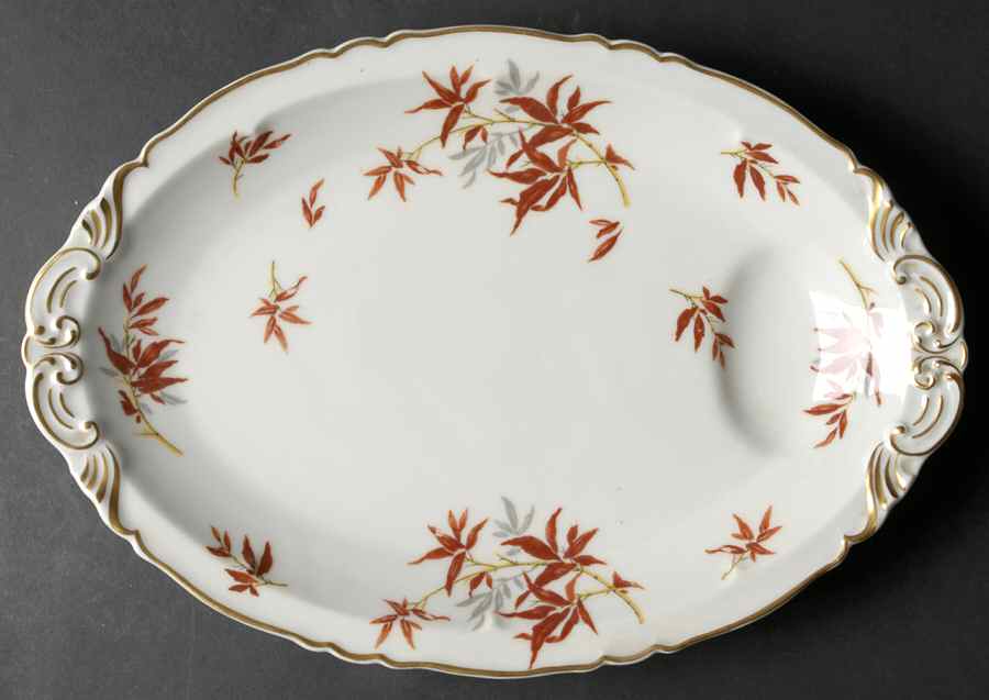 Bamboo (Rust Bamboo Shoots) 13" Oval Serving Platter by Haviland-1