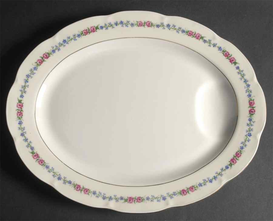 Bayou 14" Oval Serving Platter by Haviland-1