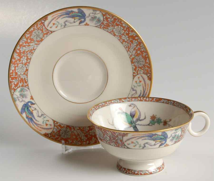 Bird of India Footed Cup & Saucer Set by Haviland-1