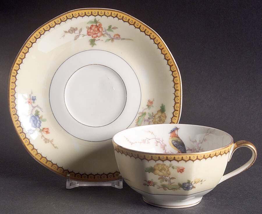 Blois Flat Cup & Saucer Set by Haviland-1