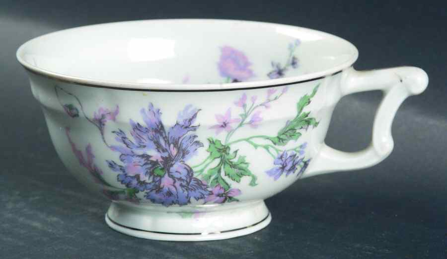Bordeaux Footed Cup by Haviland-1