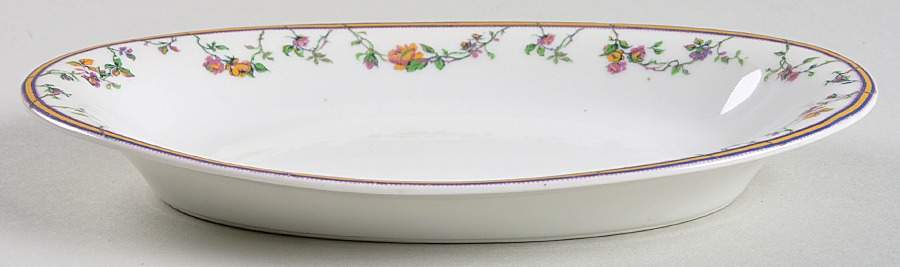 Bordeaux (Yellow & Lavender Edge) Relish by Haviland-1
