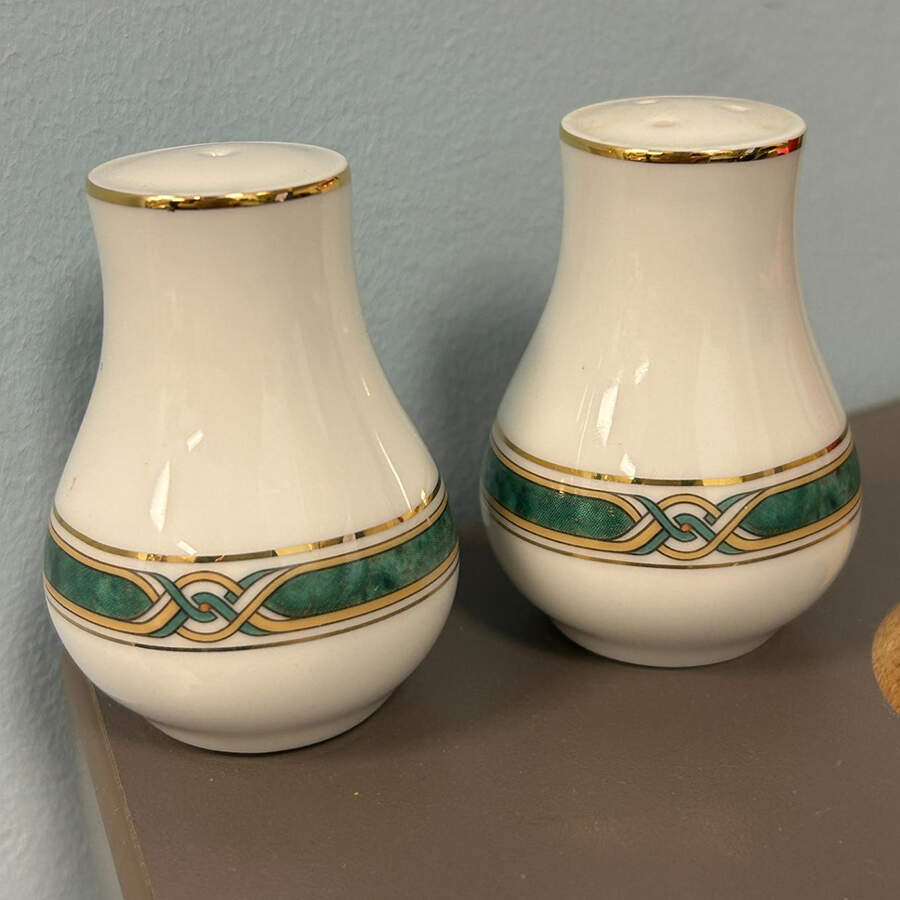 Boreal Green Salt & Pepper Set by Haviland-1