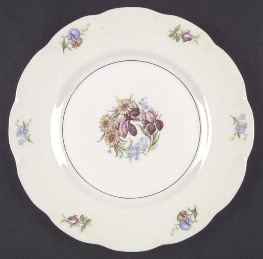 Breton (New York) Dinner Plate by Haviland-1