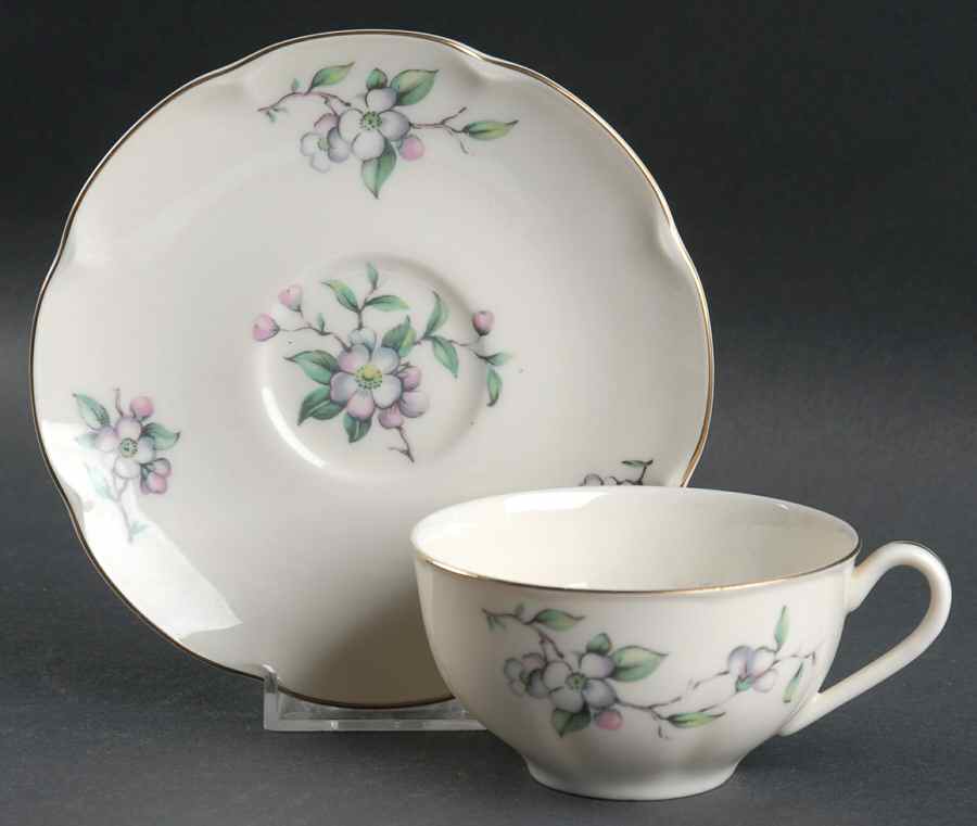 Brookside Flat Cup & Saucer Set by Haviland-1