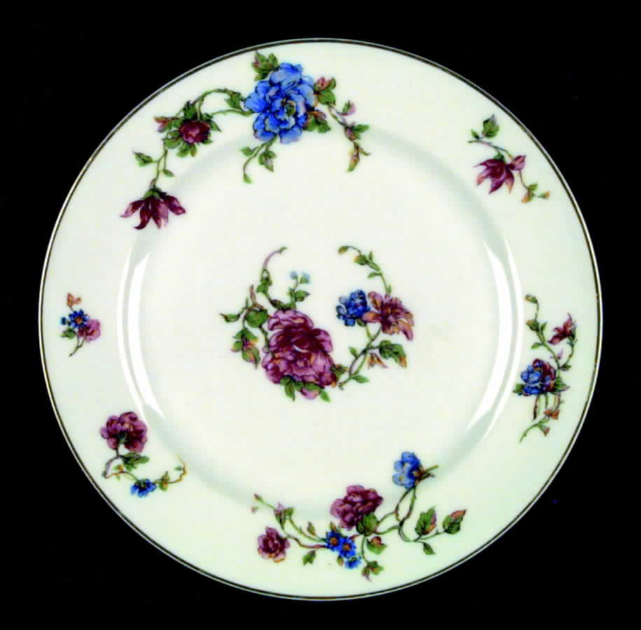 Briar Rose Salad Plate by Haviland-1