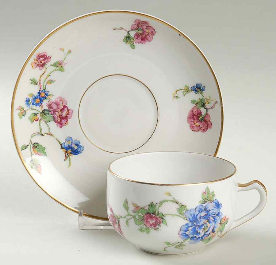 Briar Rose Flat Cup & Saucer Set by Haviland-1