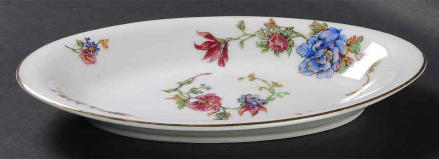 Briar Rose Relish by Haviland-1