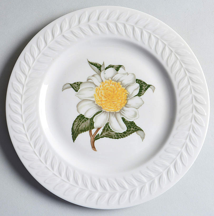 Camellia Luncheon Plate by Haviland-1
