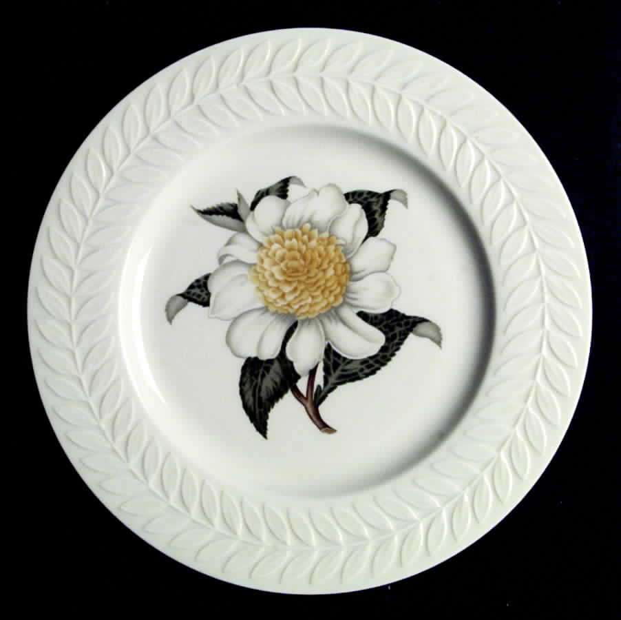 Camellia Dinner Plate by Haviland-1
