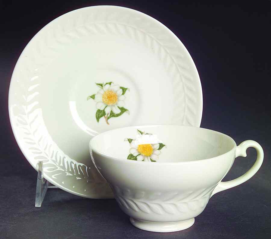 Camellia Footed Cup & Saucer Set by Haviland-1