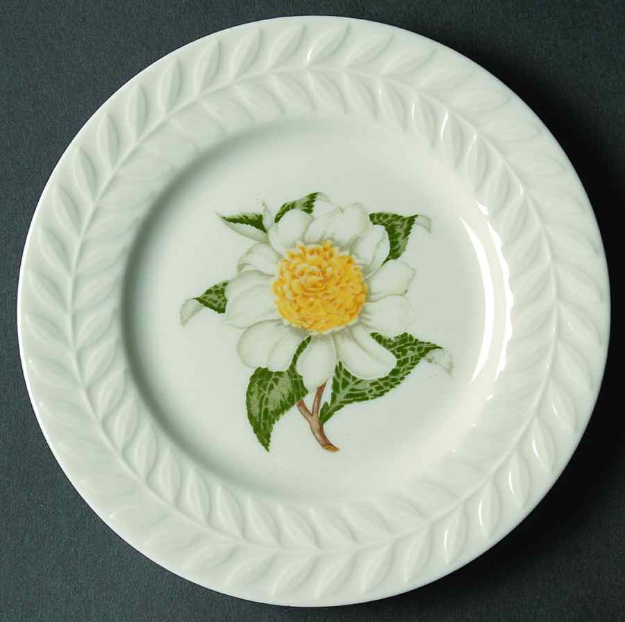 Camellia Bread & Butter Plate by Haviland-1