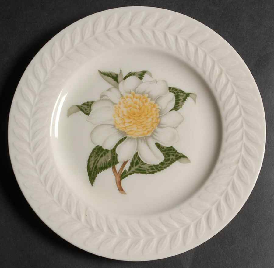 Camellia Salad Plate by Haviland-1