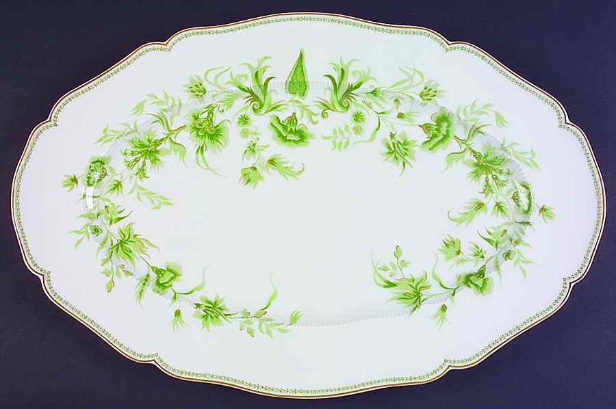 Carette 18" Oval Serving Platter by Haviland-1