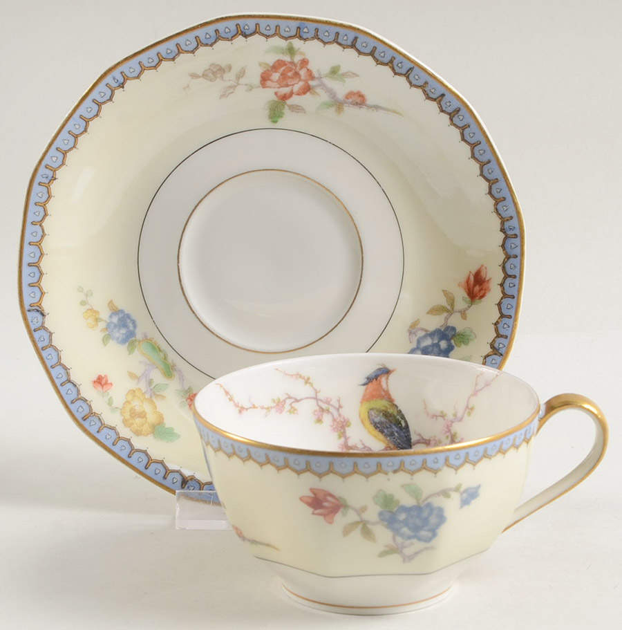 Chambord (Birds, Older Patt) Flat Cup & Saucer Set by Haviland-1