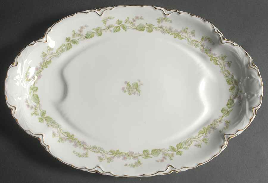 Charonne 17" Oval Platter with Well by Haviland-1