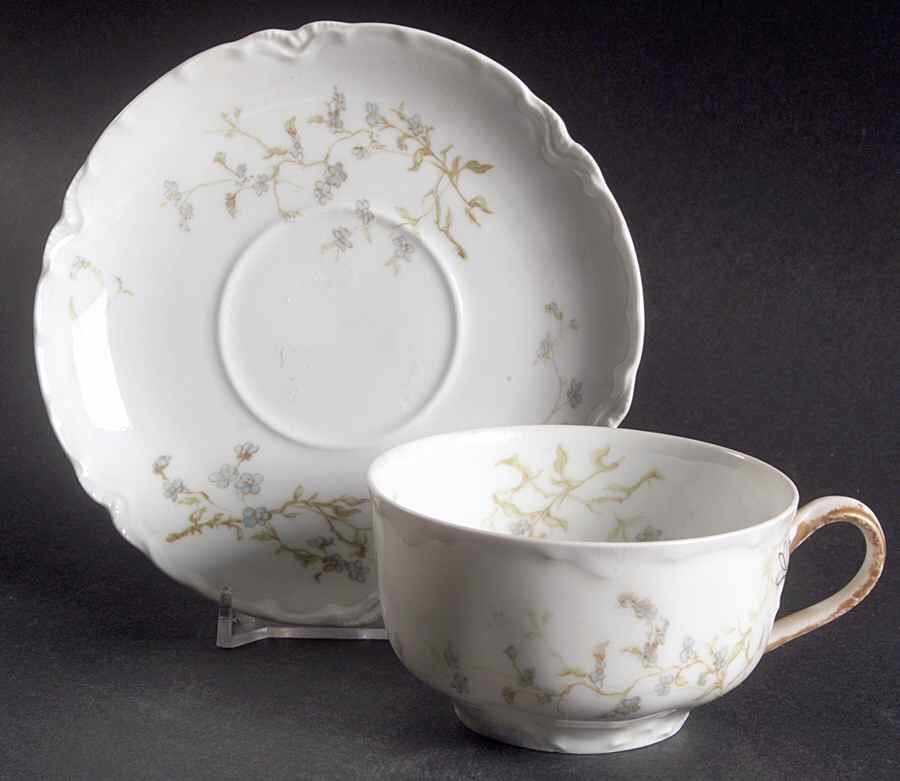Cherbourg Flat Cup & Saucer Set by Haviland-1