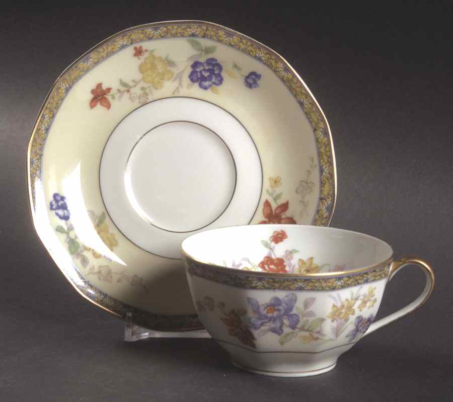 Coromandel Flat Cup & Saucer Set by Haviland-1