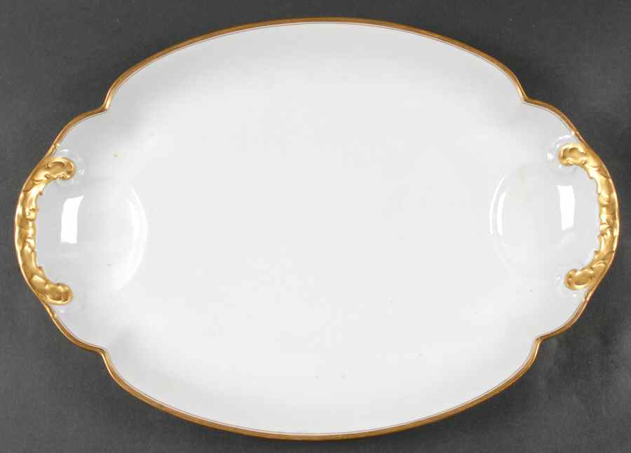 Coronada 18" Oval Serving Platter by Haviland-1