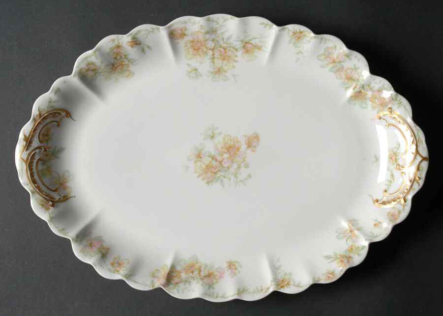 Countess 12" Oval Serving Platter by Haviland-1