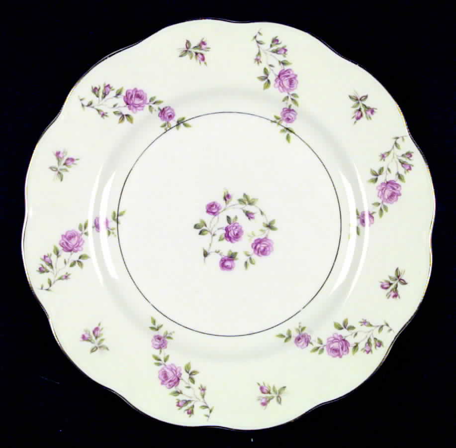 Delaware (New York) Dinner Plate by Haviland-1