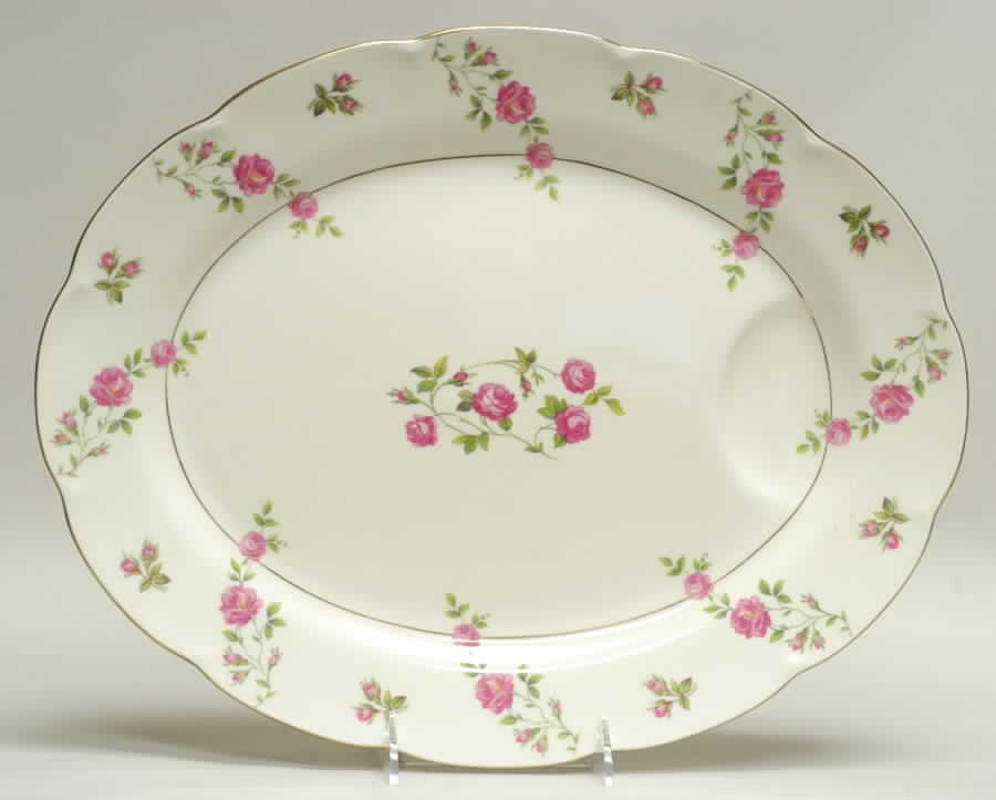 Delaware (New York) 14" Oval Serving Platter by Haviland-1