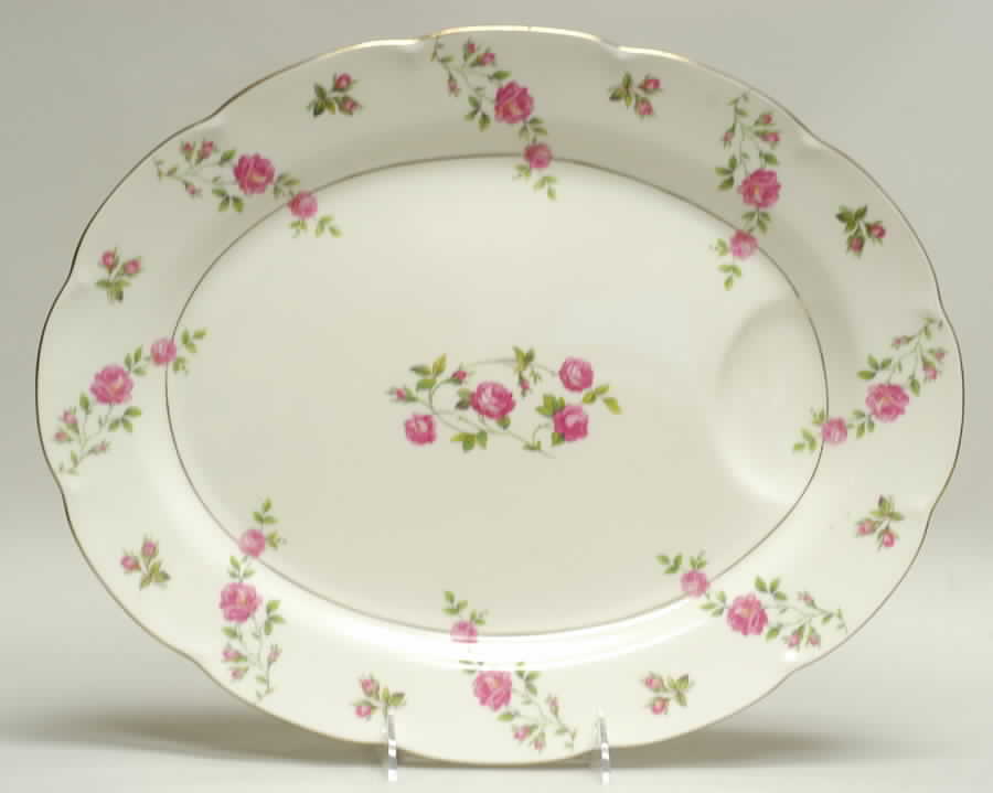 Delaware (New York) 16" Oval Serving Platter by Haviland-1