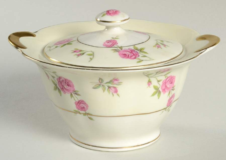 Delaware (New York) Sugar Bowl & Lid by Haviland-1