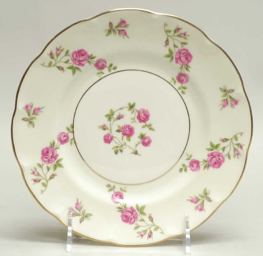 Delaware (New York) Salad Plate by Haviland-1