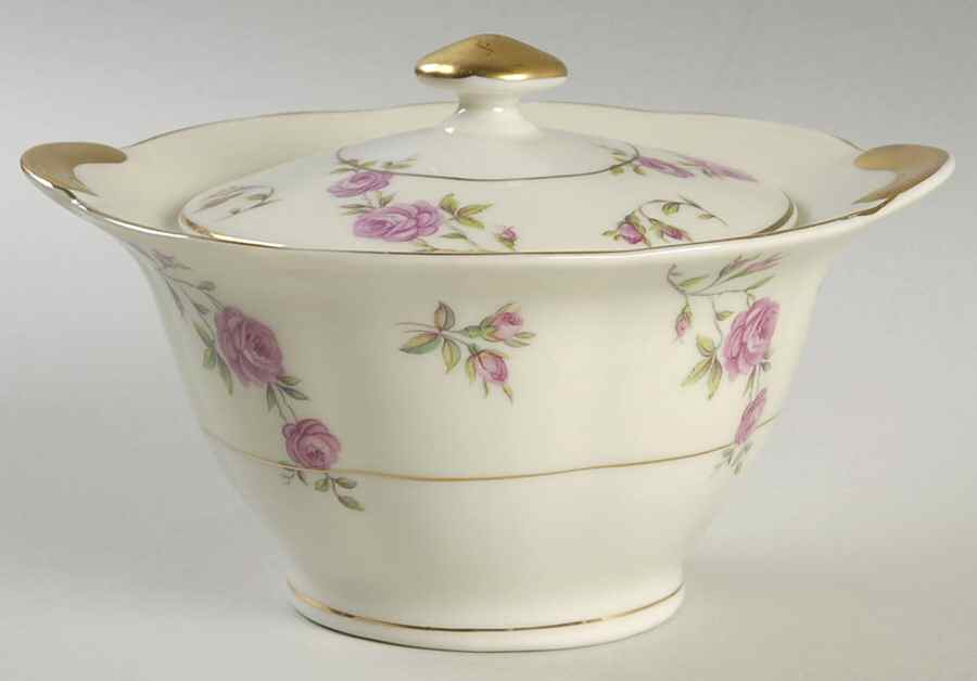 Delaware (New York) Sugar Bowl & Lid by Haviland-1