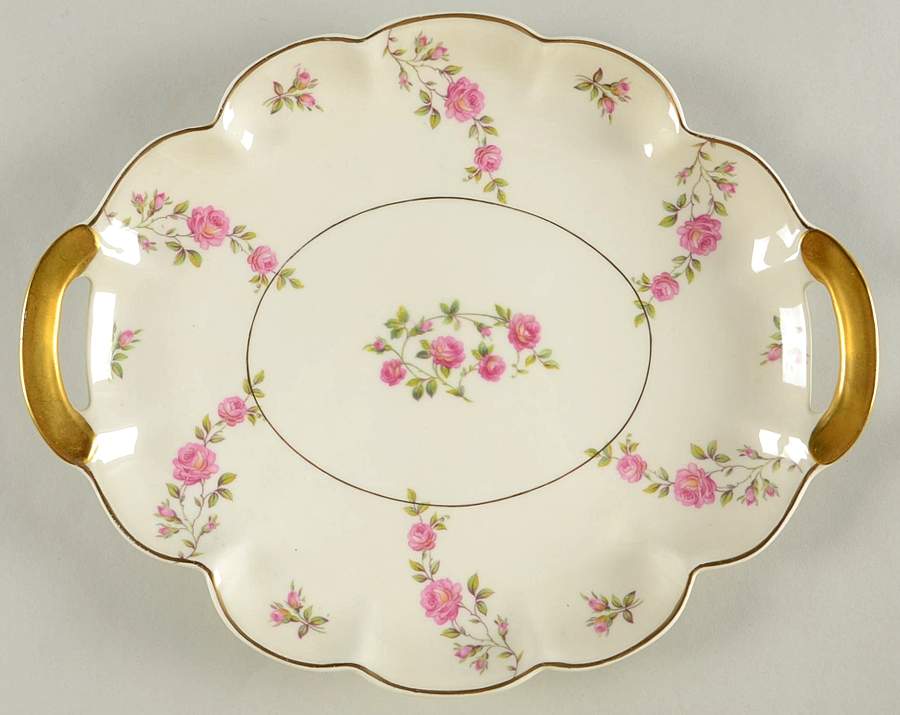 Delaware (New York) 11" Oval Serving Platter by Haviland-1